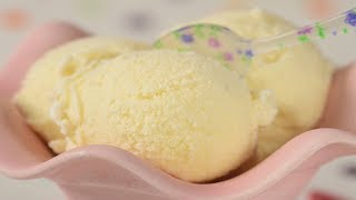 Easy Vanilla Ice Cream Recipe Demonstration  Joyofbakingcom [upl. by Parik]