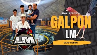 GALPON LM  GATO TILSON [upl. by Ronoc]