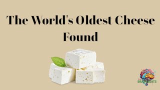 The Worlds Oldest Cheese Found on a 3600YearOld Mummy [upl. by Licko]