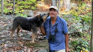 Exploring Landons Bay Centre  Thousand Islands National Park Of Canada [upl. by Dyl]