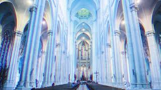 quotCarmen  Lana Del Reyquot But playing in a Cathedral [upl. by Nocam]