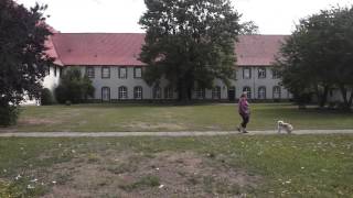 Kloster Wöltingerode  Harz [upl. by Tillo]