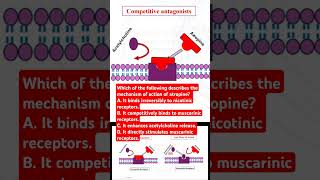 Which of the following describes the mechanism of action of atropine [upl. by Enilreug13]