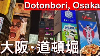 Exploring Dotonbori A Walking Tour Through Osakas Famous Street Food amp Nightlife Area [upl. by Ahsac]