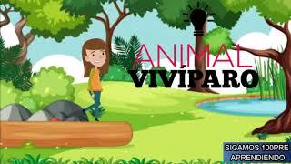 ANIMALES VIVIPAROS  CUALES SON LOS ANIMALES VIVIPAROS [upl. by Nevram]