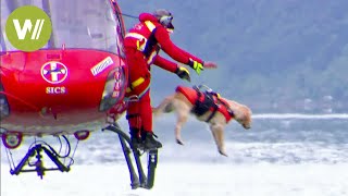 Rescue dogs jump from a helicopter to save lives [upl. by Cryan94]