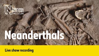 Neanderthals  Live talk with NHM scientist [upl. by Ulrika]