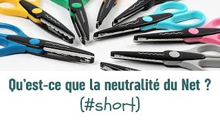 Questce que la Neutralité du Net [upl. by Ailahs]