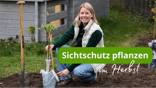 Ich pflanze die ersten Sträucher im Garten für eine heimische Hecke  Herbst ist Pflanzzeit 💪🏼🌱🌲 [upl. by Welsh]