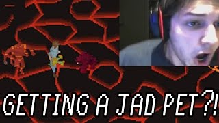 HOW TO GET THE JAD PET [upl. by Ahsiuqet768]