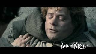 Frodo and Sam  What Hurts the Most [upl. by Fraser]