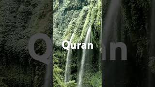 Surah Qiyamah urdu translation [upl. by Fedirko]