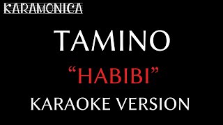 Habibi by Tamino Karaoke version [upl. by Ardnwahs]