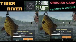 Fishing Planet Tiber River Italy Crucian carp Trophy amp Unique [upl. by Alyakcm]