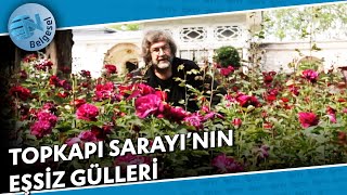 Topkapı Sarayının Gülleri quotTarih Boyunca İhtişamın Simgesiquot  İstanbul Kafası  NTV Belgesel [upl. by Tenney411]