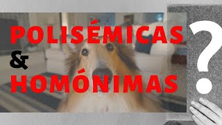 Palabras Polisémicas y Homónimas  ¿QUE SON y PARA QUE SIRVEN [upl. by Eerrehc372]