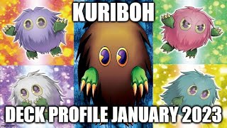 KURIBOH DECK PROFILE JANUARY 2023 YUGIOH [upl. by Dwan]