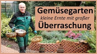 Gemüsegarten  Ernte mit Überraschung [upl. by Troy]