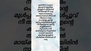 Uyirin Naadhane Lyrics  Song by Merin Gregory and Vijay Yesudas shorts song lyrics music [upl. by Assiluy]