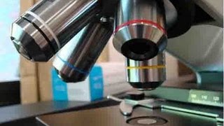 How To Use a Compound Light Microscope Biology Lab Tutorial [upl. by Aihtela]