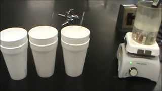 Calorimetry Experiment with different metals [upl. by Suelo]