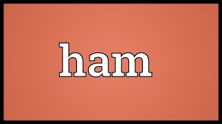 Ham Meaning [upl. by Dinny]