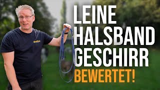 Das sind die BESTEN Halsbänder Leinen und co 🐶 Hundetrainer erklärt  TGH 436 [upl. by Anailuy643]