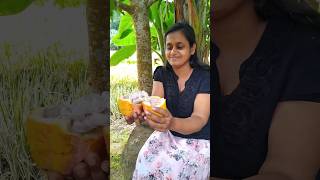 Cocova fruit කොකො රස විදිමු 😋😋 fruit food [upl. by Ellenoj]