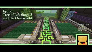 Enigmatica 9 Expert  Tree of Life Stage 2 and the Overworld  E9E 030 [upl. by Kowtko]