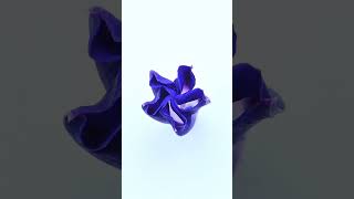 Morning Glory Flower Unwarping shorts timelapse bkvtd [upl. by Bricker338]