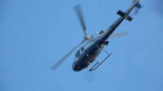 LAPD AS350 Helicopter Circling Over Venice CA [upl. by Yelak]