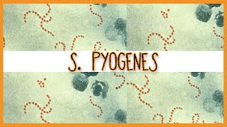 Streptococcus Pyogenes [upl. by Airtemak]