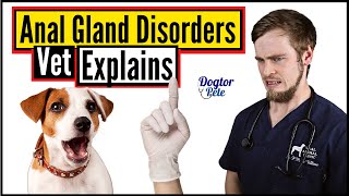 THIS Is Why Your Dog Has Anal Gland Disease And Here Is How You Can Treat It  Vet Explains [upl. by Rafter675]