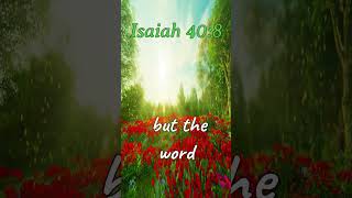 Isaiah 408 motivation verseoftheday bibleverse quotes inspiration biblepassage hope prayer [upl. by Tlevesor]