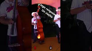 Llego rengueando un viejito🔥🔥 musica regionalmexicano corridos tierracaliente tololoche [upl. by Cory]