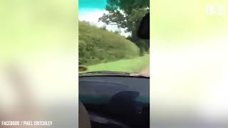 Cyclist Pushed Into a Hedge by Car Passenger [upl. by Anniahs144]