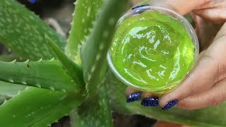 How to Make Aloe Vera Gel At Home Naturally [upl. by Enriqueta]