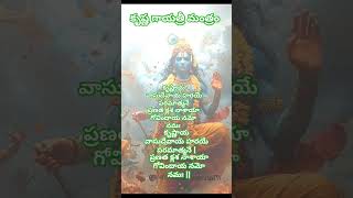 Shri Krishna Gayatri Mantra  lordkrishnamotivationalvideo krishnawhatsappstatustrendinglove [upl. by Gord196]