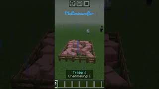 Minecraft but pig is no more in my world only pigman [upl. by Jemimah]