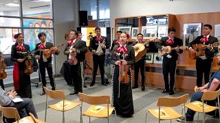 La Mariquita  Mariachi Los Toritos  Mariachi Academy  San Jose CA [upl. by Aneleh]