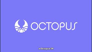 Octopus 24 by Rotamundos [upl. by Maurits]