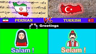 Turkish vs Persian  Language Comparison [upl. by Letta788]