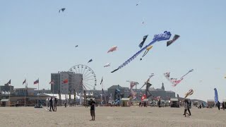 Les cerfsvolants de Berck un spectacle unique au monde  Météo à la carte [upl. by Malas]