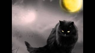 Black Cats － 11 Dear Miss Lonely [upl. by O'Conner]