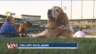 Fourlegged friends come out for Drillers Bark at the Park [upl. by Ahsenor31]