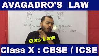 Avagadros Law  Avagadros hypothesis  Class X  CBSE  ICSE  Mole Concept  Gas Law [upl. by Amory]