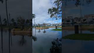 Serene Seminole Boulevard Flooded by Lake Monroe Lined with Trees amp Boats amp Limpkin Sanford [upl. by Levona]