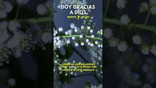 DOY GRACIAS A DIOS [upl. by Ilarrold947]