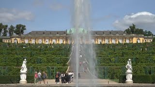 Germanys Sanssouci Park seeks solutions as its trees struggle with climate change [upl. by Addia]