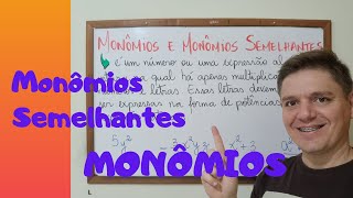 MONÔMIOS e MONÔMIOS SEMELHANTES  Exercícios e Exemplos  8º ano ‐ AULA 13 [upl. by Raffo]